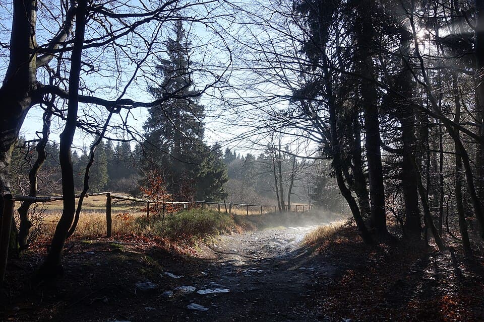 Bukačka